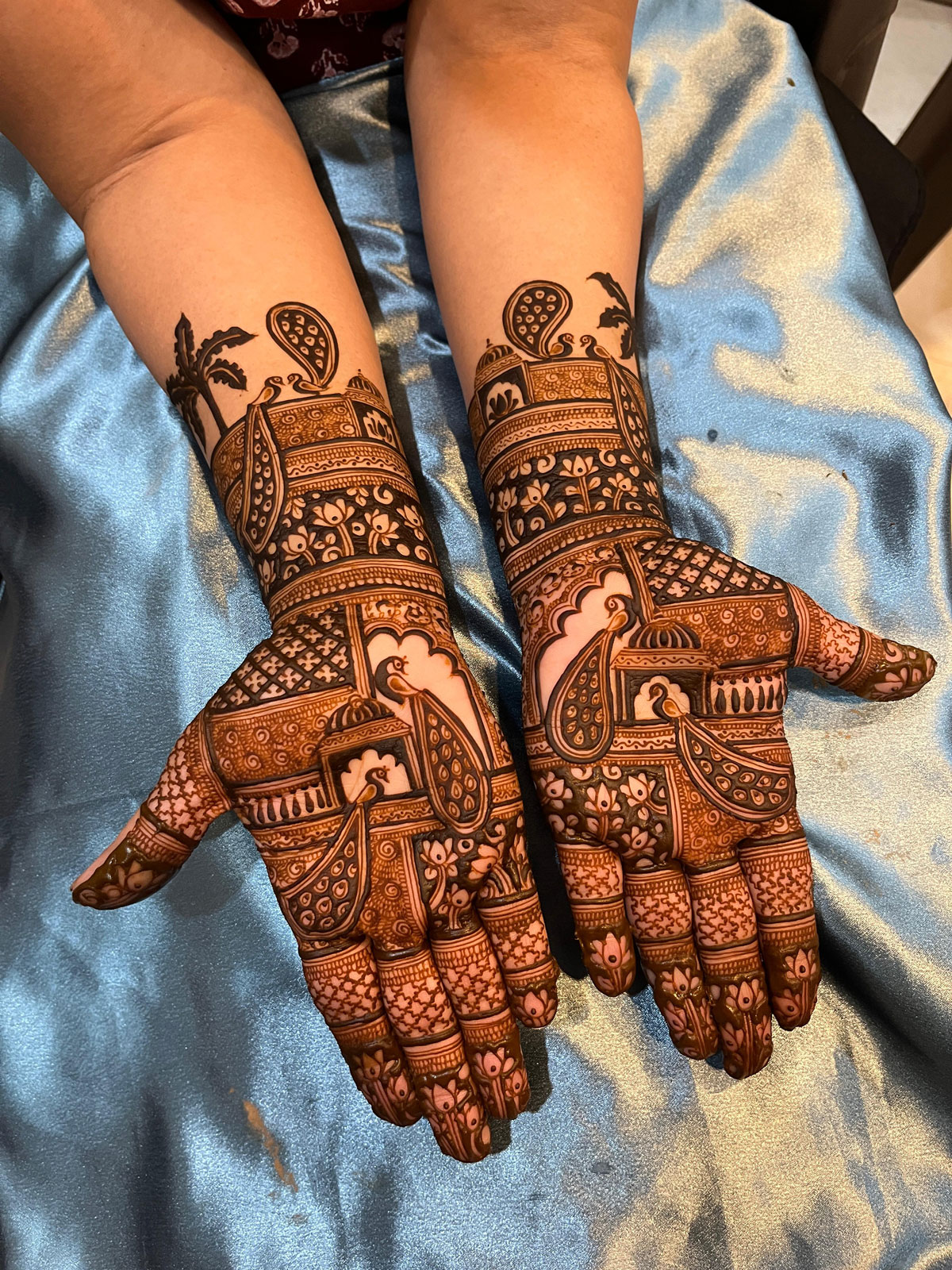 Bridal Hand Mehandi Without Figures